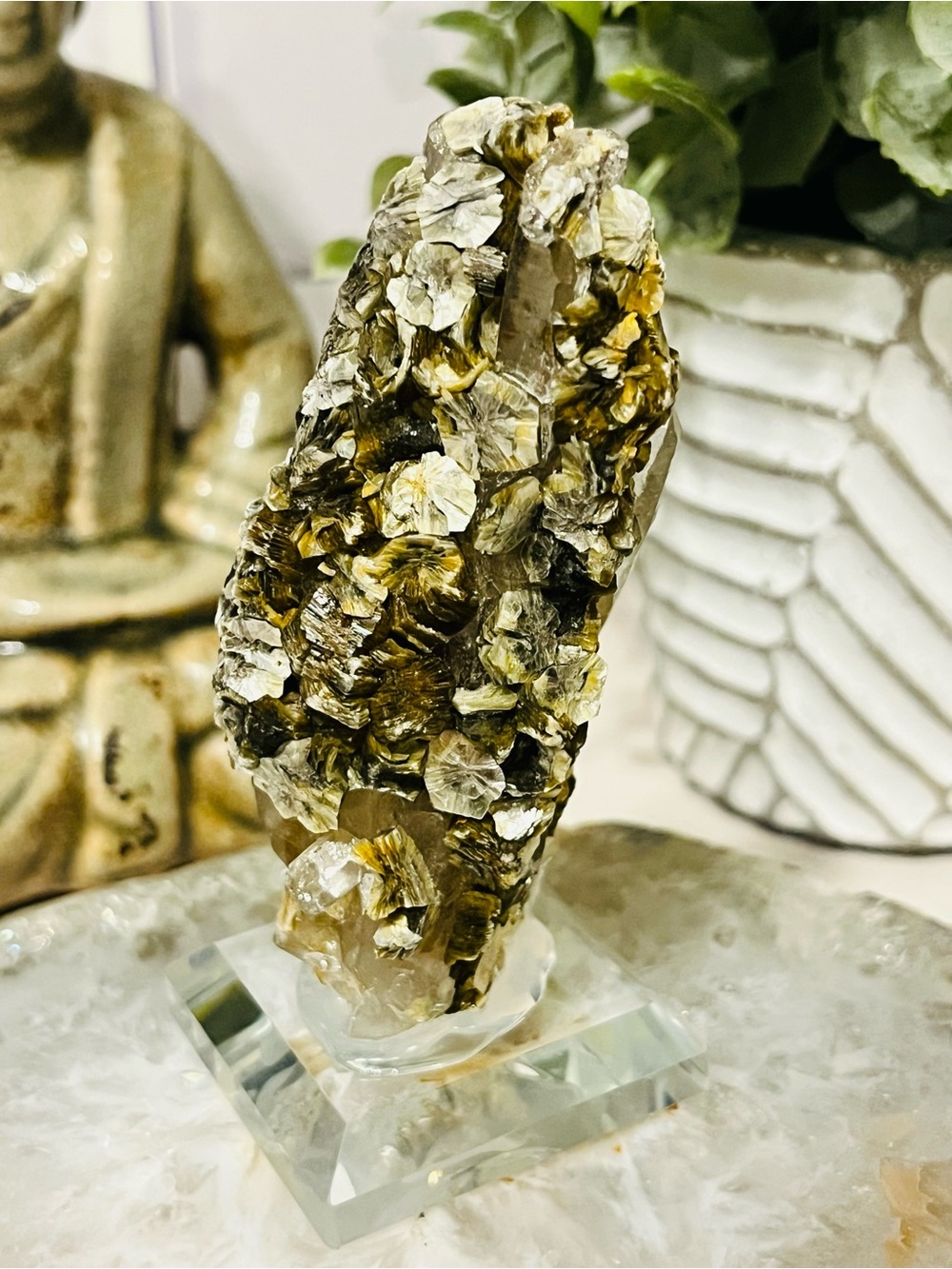 GORGOUS Golden Muscovite Mica Crystals on Quartz Point